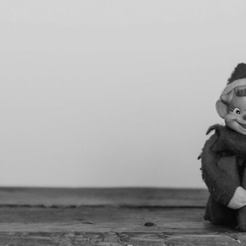 Datenschutz – der Grinch?