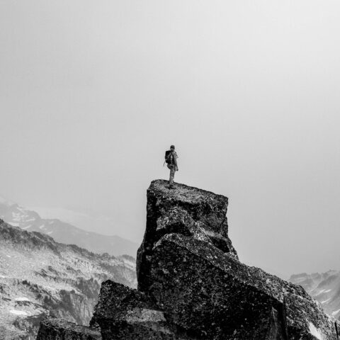 Tipps für Seminare im Juli … #Live!