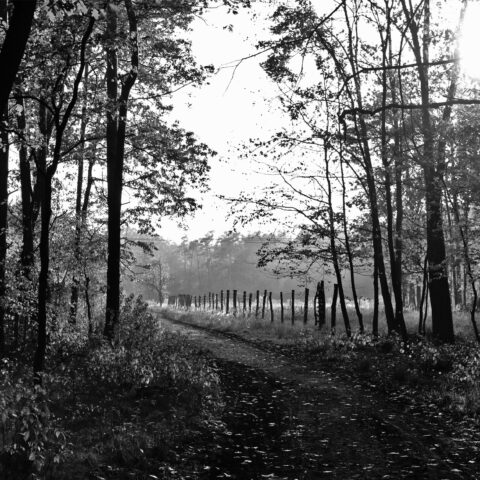 Veranstaltungen im November